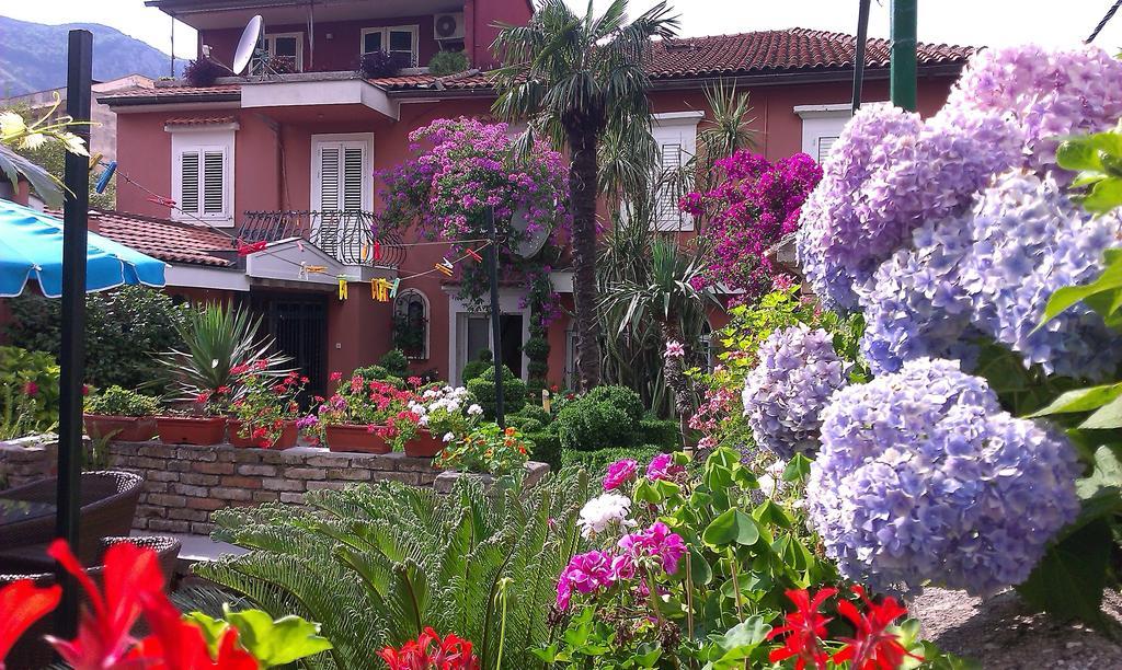 Apartment City Garden Kotor Habitación foto